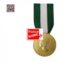 Madaille Communale Vermeil 30 ans d'ancienneté