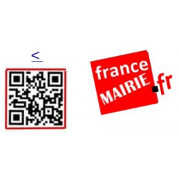 Insigne boutonnière sur pins pour Conseiller Municipal logo francemairie.fr