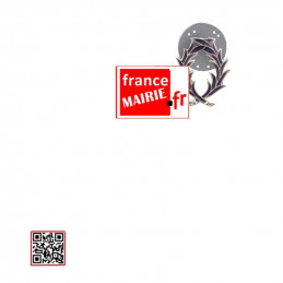 Pins boutonnière métal Palmes Academiques chevalier