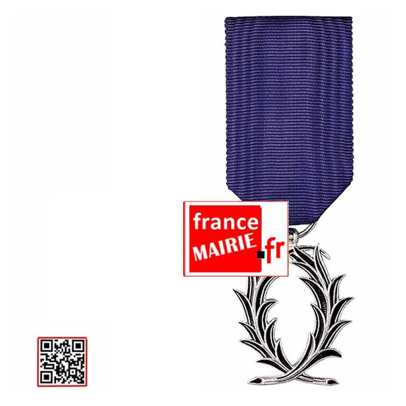 Médaille Palmes Académiques Chevalier