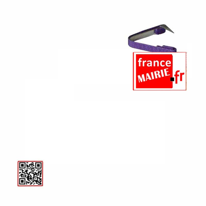 Fixe ruban boutonnière Palmes Académiques Chevalier