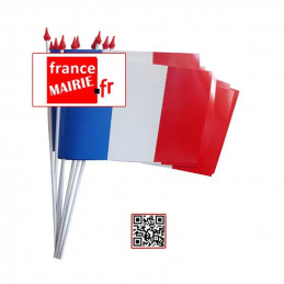 DRAPEAU A AGITER PACK DE 10 drapeux - dimension 10 cm / 15 cm