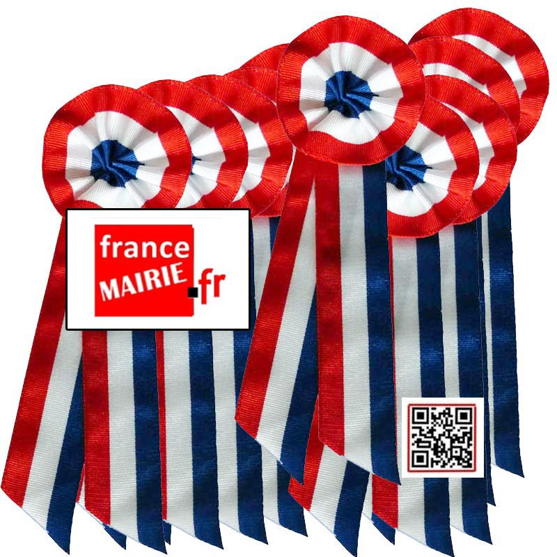 COCARDE TISSU TRICOLE AVEC TRESSE - PACK DE 10
